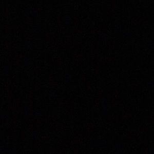 Meet your Posher, Lashonda